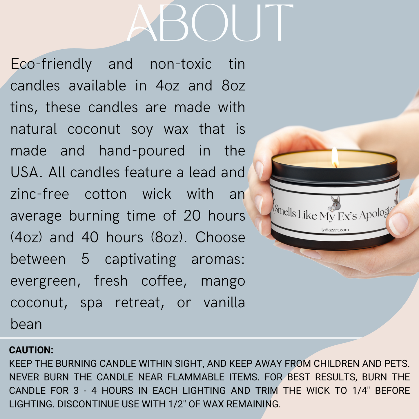 Smells Like My Ex's Apologies - Soy Candle